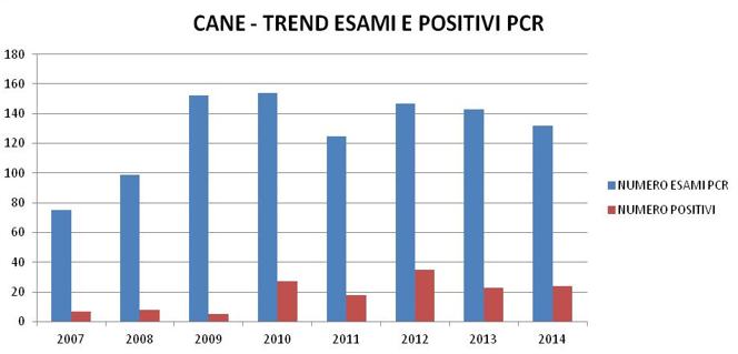 Leptospirosi: tremd positivi nei campioni esaminati dall'IZSVe